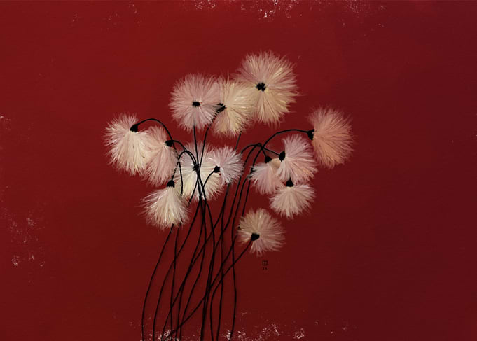 White Flowers on Red