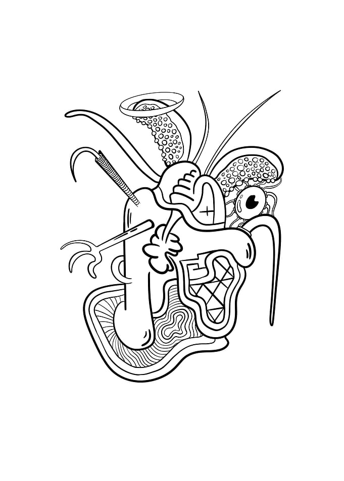 Abstract Doodle Creature