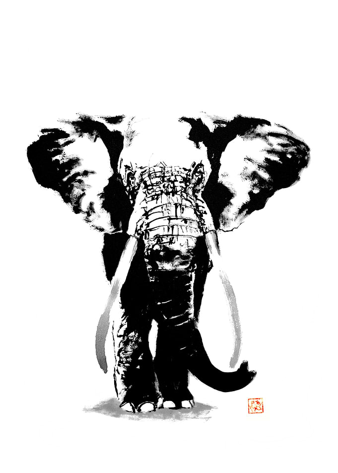 Elephant Ink Painting