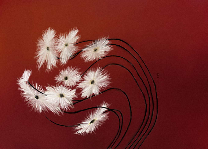 White Flowers on Red