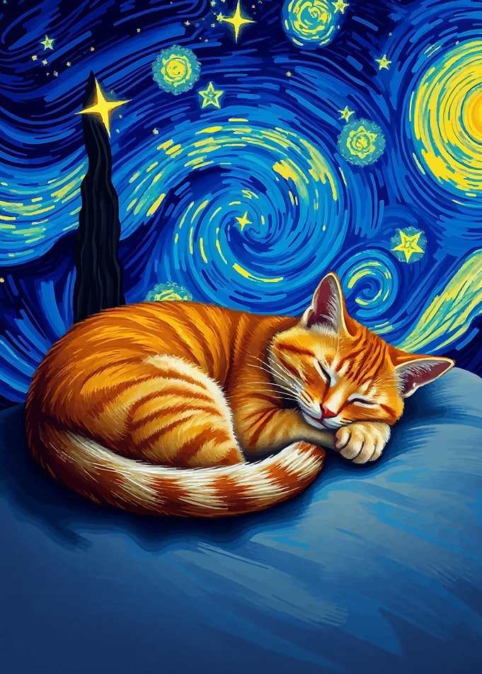 Cat Sleeping Under Starry Night