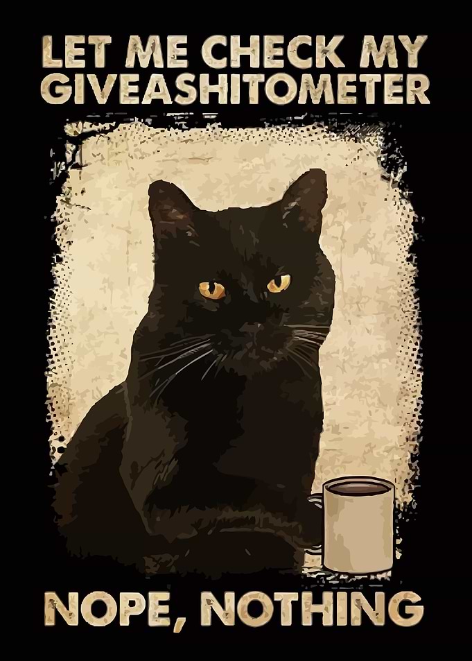 Black Cat Give A Shit Meter