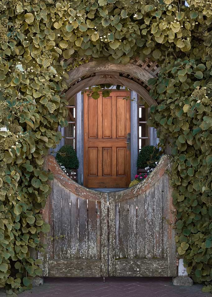 Ivy Gate to Home