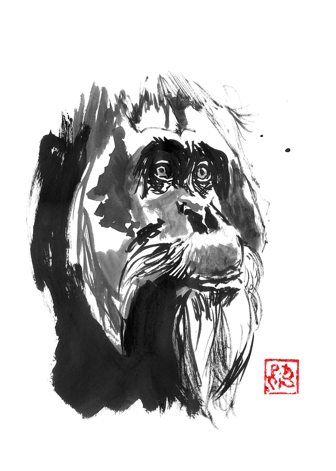 Ink Painting of Orangutan