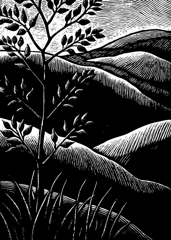 Black and White Landscape