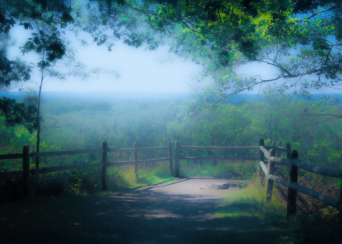 Soft Scenic Nature Spot