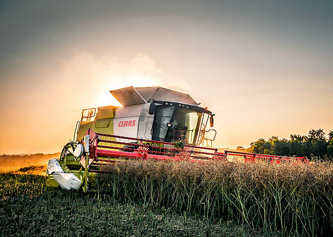 Claas Lexion Combine Harvester in Field