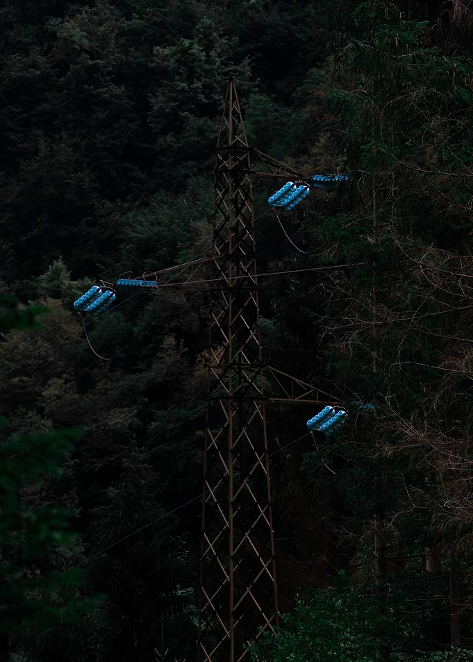 Power Line in Forest