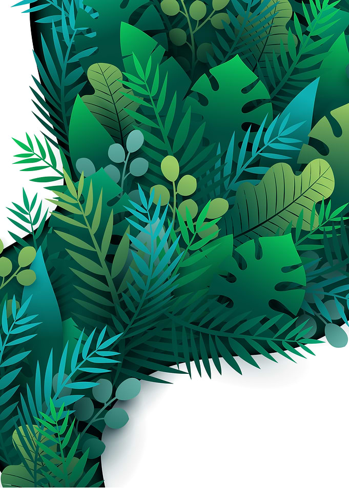 Tropical Leaf Border