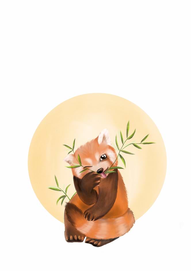 Cute Red Panda