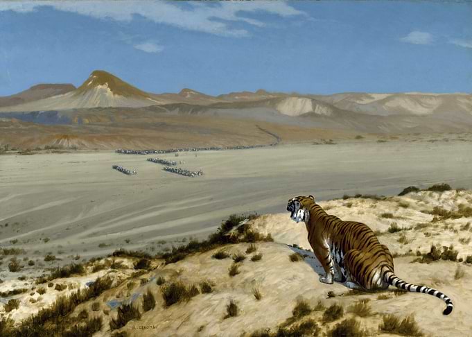 Tiger in Desert Landscape