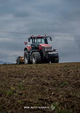Red Tractor in Field