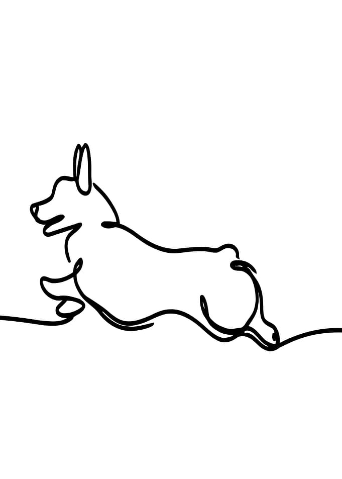Corgi Line Art