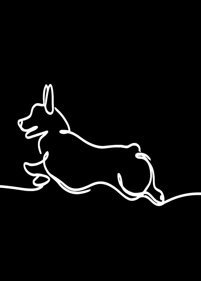 Corgi Line Art