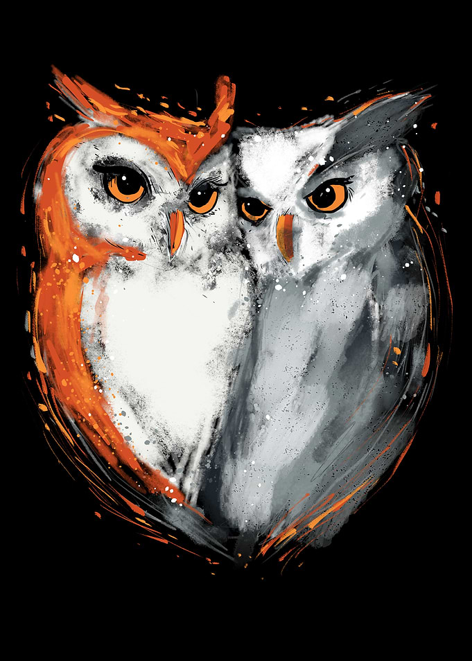 Two Cosy Owls