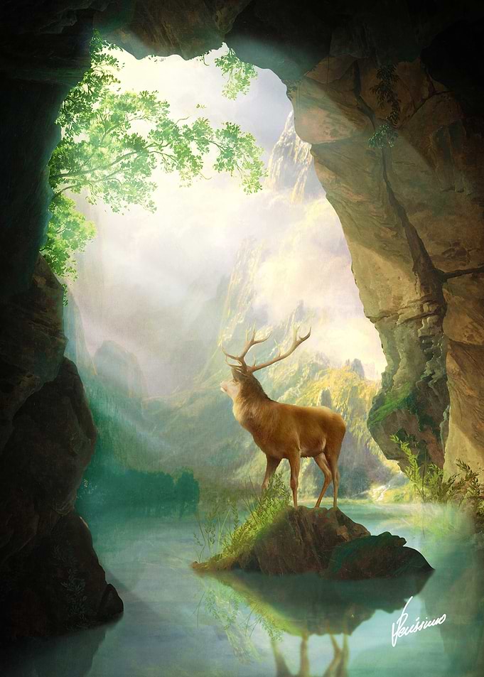 Deer Sunrise