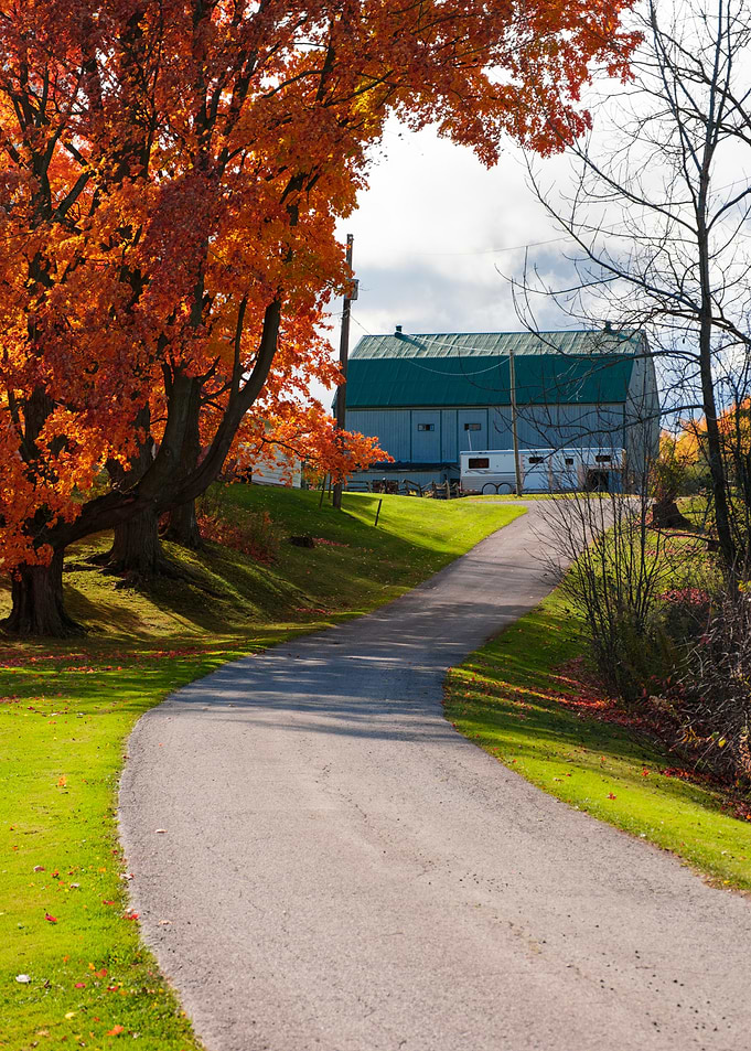 Autumn Country Road to a Farm