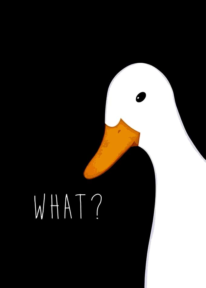 Duck Saying What