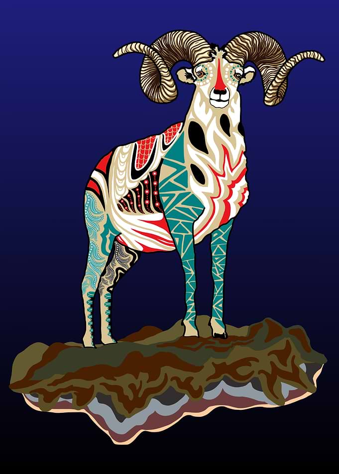Alaska Native Dall Sheep
