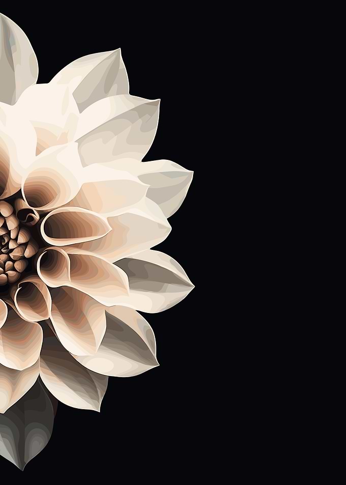 Creamy Dahlia Closeup Art