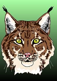 Brown Lynx Portrait