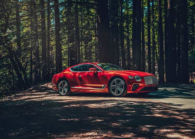 Red Bentley in Forest