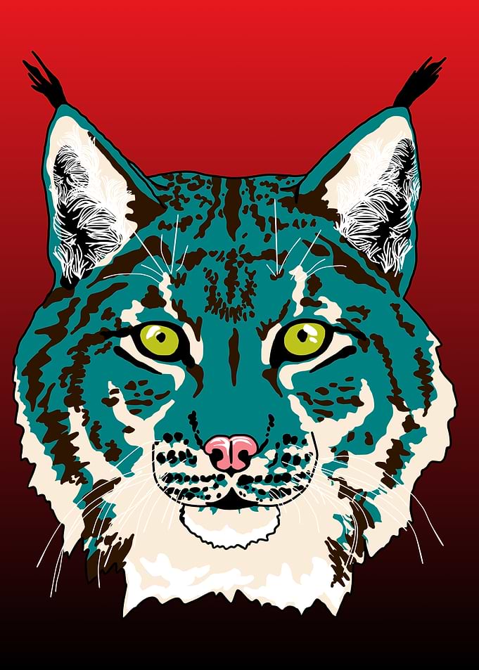 Teal Lynx Portrait