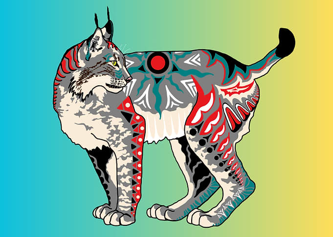 Gray Alaska Native Lynx
