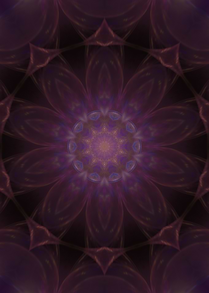 Imperial Daisy
