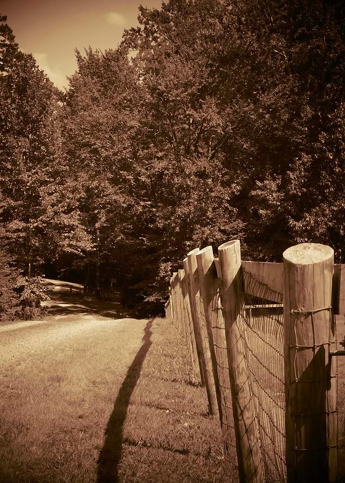 Rustic Country Road
