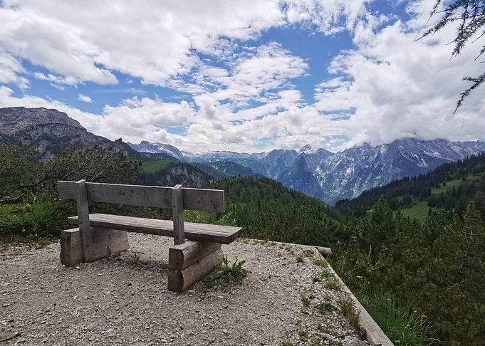 Mountain View Bench