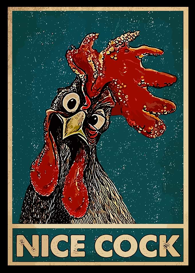 Funny Rooster Poster