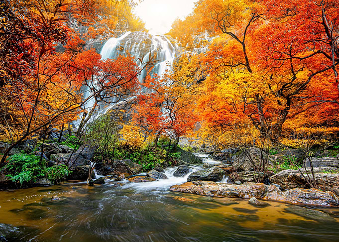 Autumn Waterfall