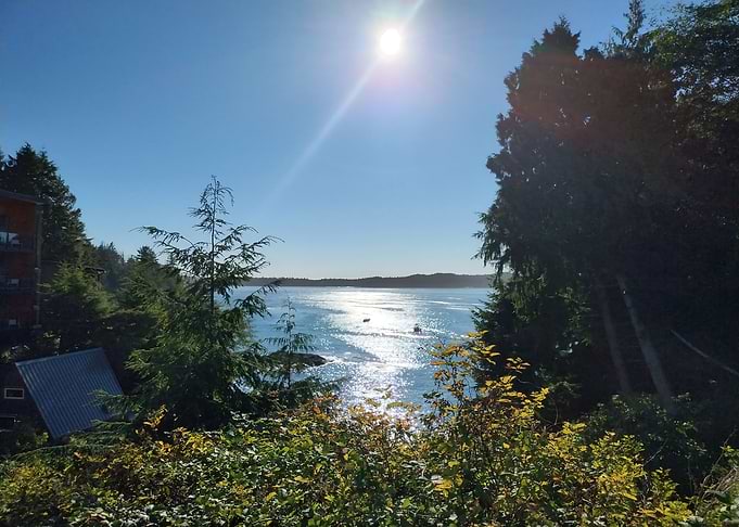 Tofino Bay