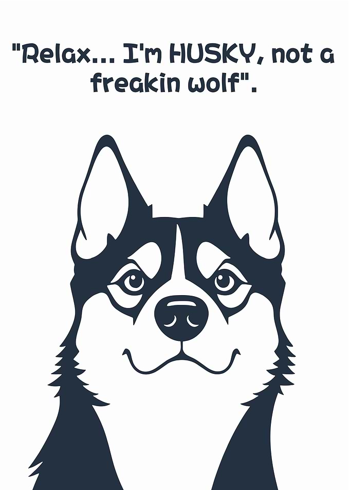 Husky Dog Illustration
