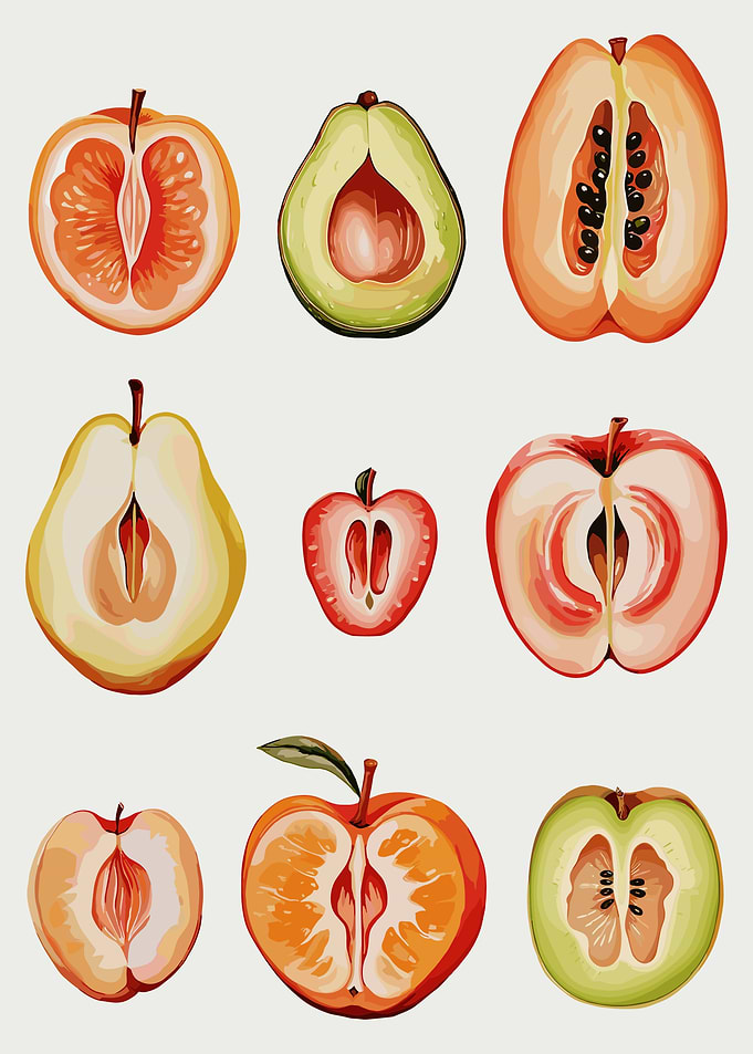 Fruit Cross-Sections