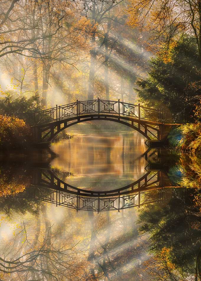 Bridge in Autumn Mist