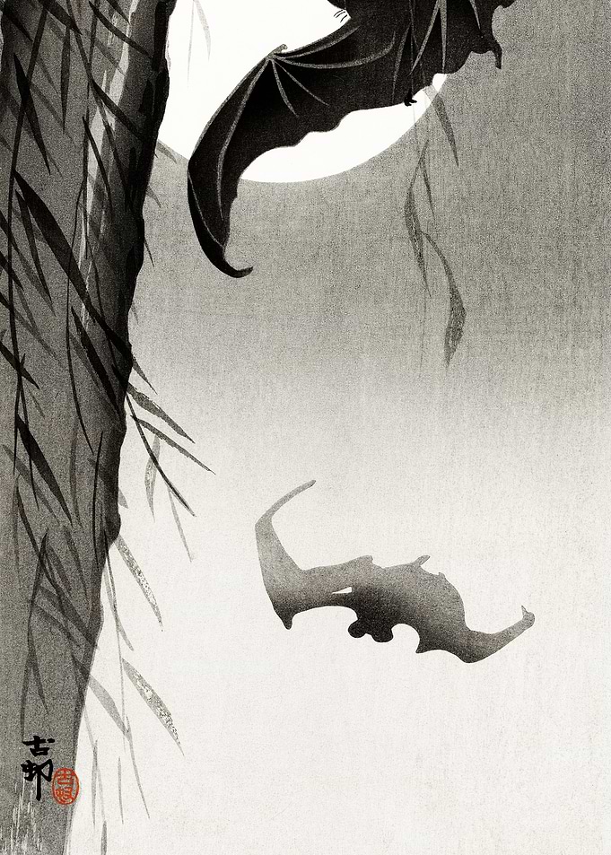 Bats in Moonlight