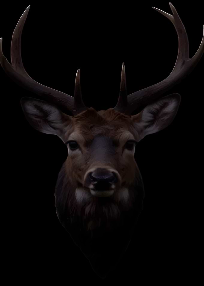 Deer Head Silhouette