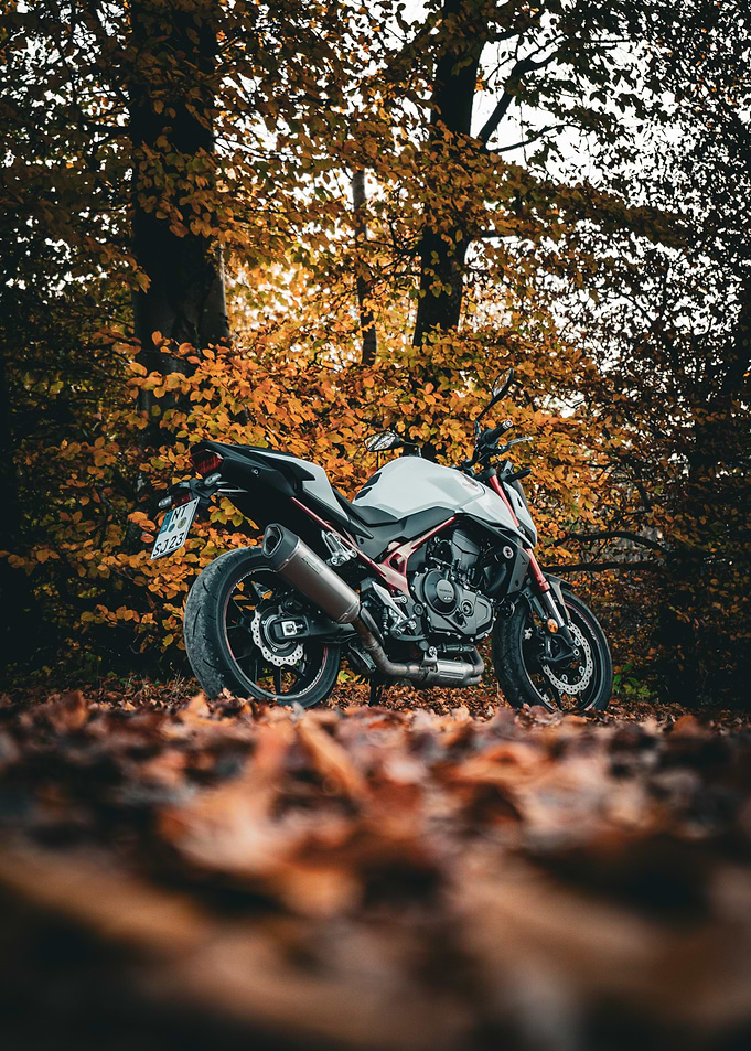 Motorcycle in Autumn Woods