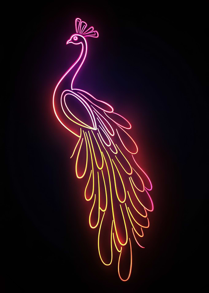 Neon Peacock Illustration