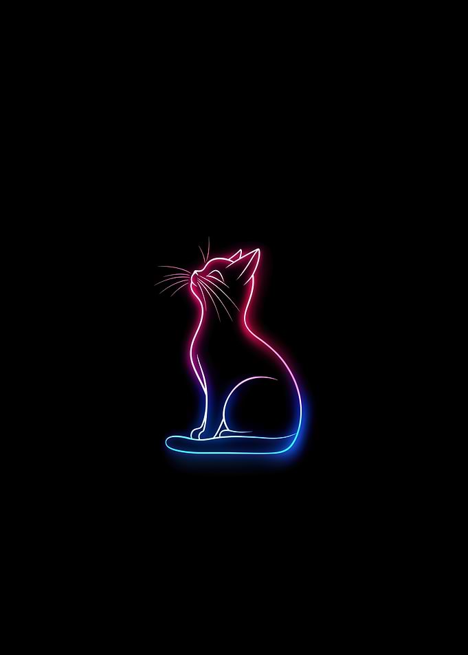 Neon Cat Silhouette