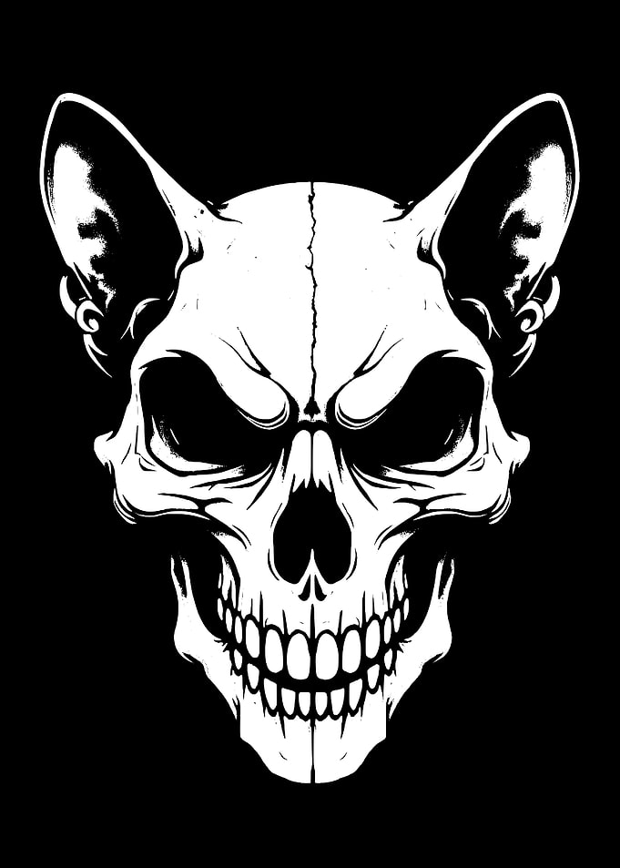 Cat Skull Illustration