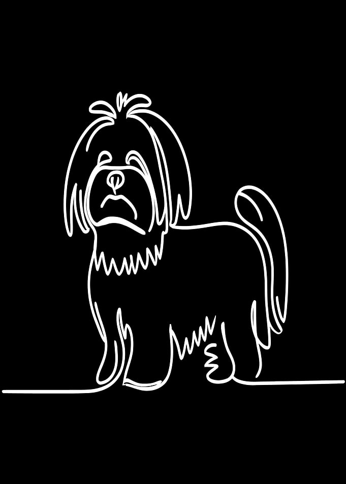 Single Line Shih Tzu Dog Illustration
