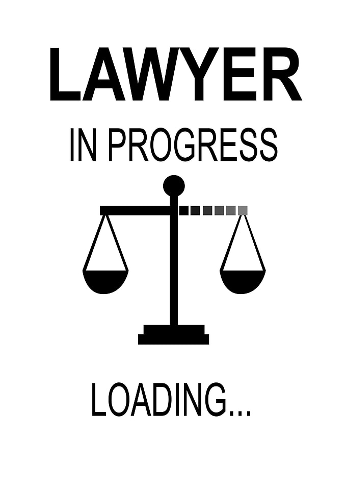 Lawyer in Progress