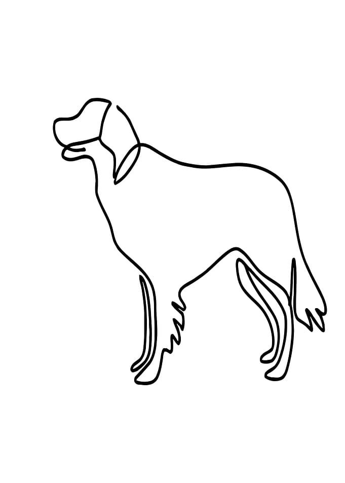 Dog Line Art