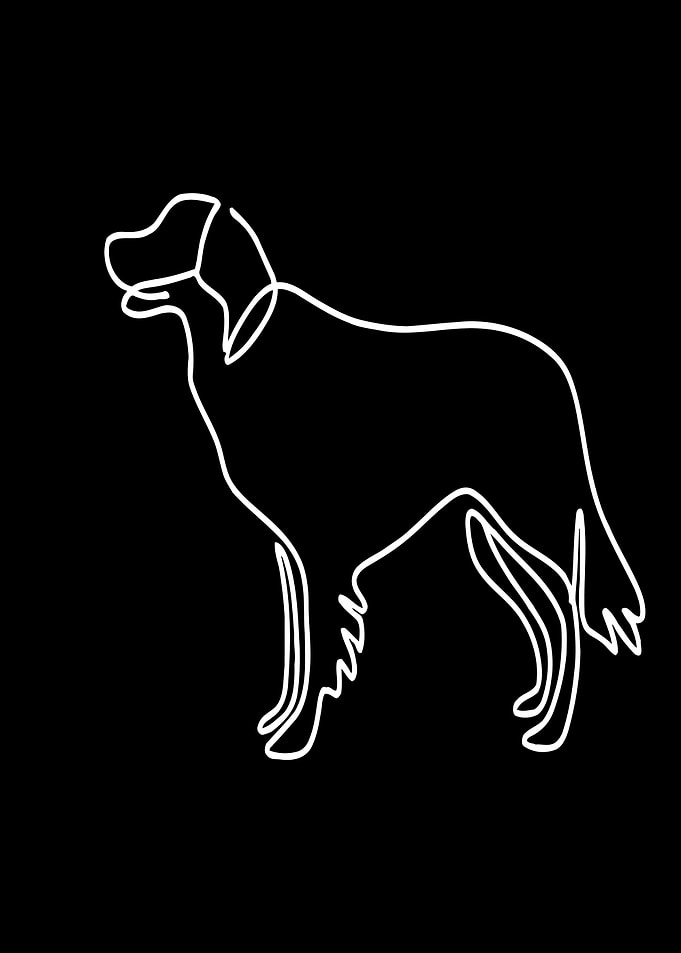 Dog Line Art
