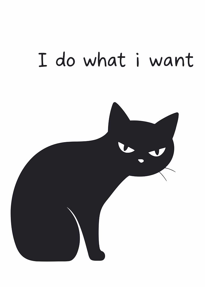 Black Cat Quote