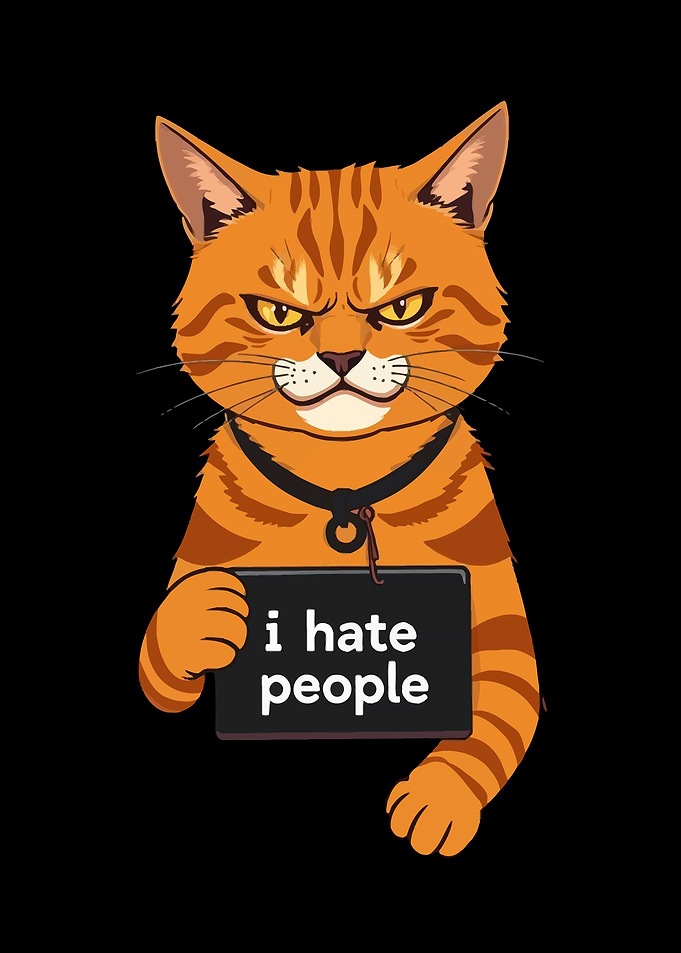 Orange Cat Meme