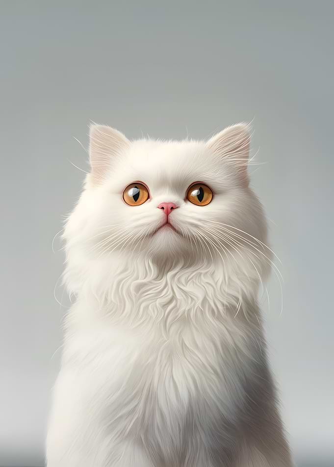 White Persian Cat Portrait